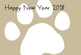 2018 New Year